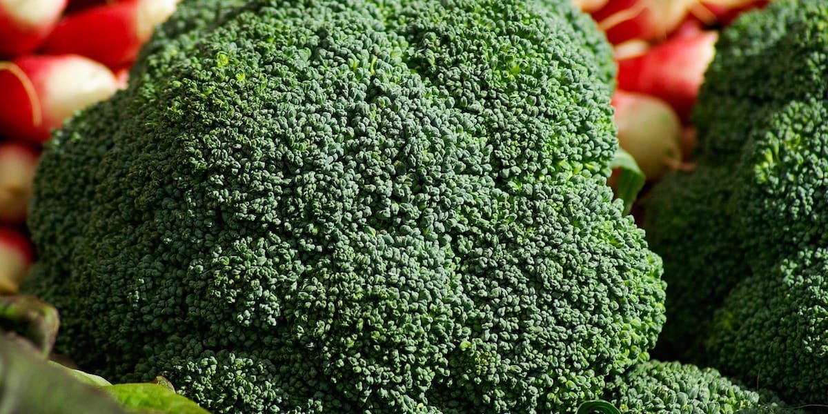 brocoli